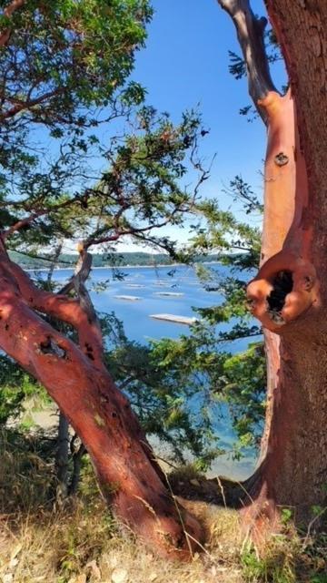 Anchorage Inn B&B Coupeville Εξωτερικό φωτογραφία